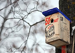 Деревня Колионово не выглядит заброшенной  