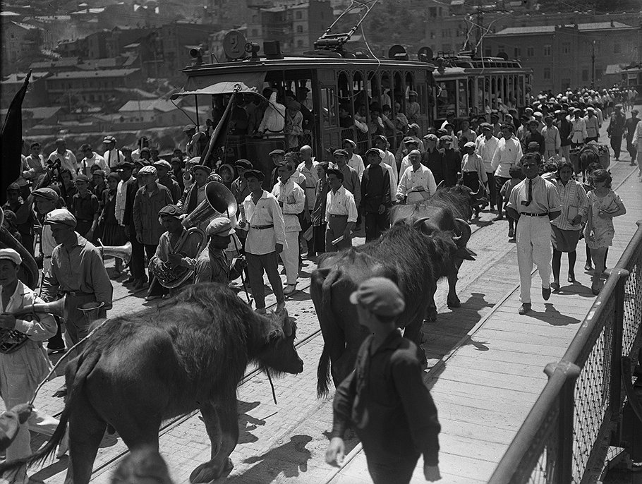 Демонстрация в Тифлисе. Волы и трамвай. 1 мая 1928 года 