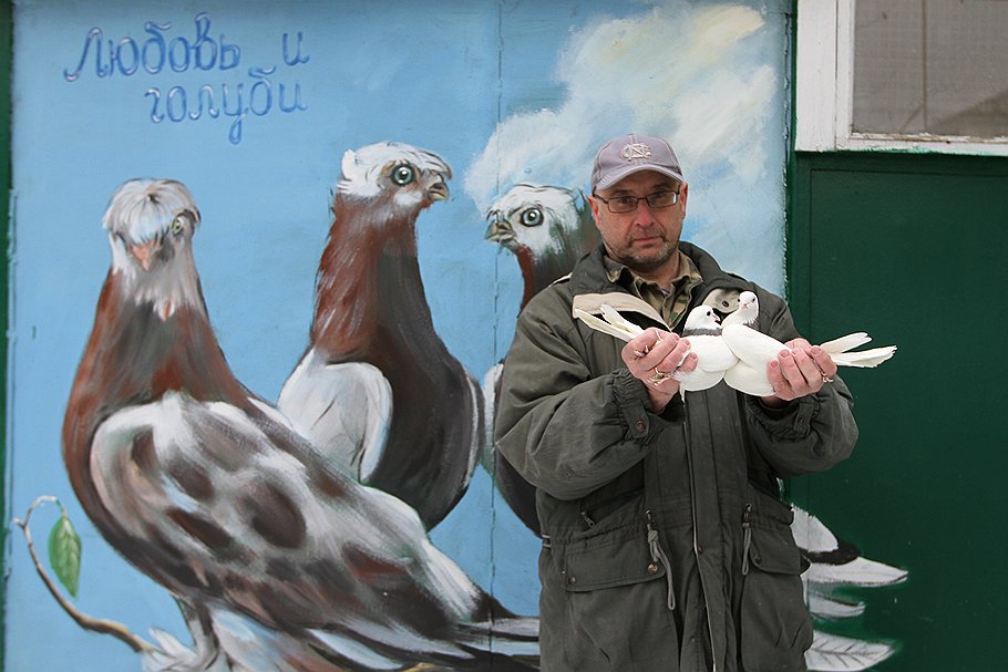 На снимках — столичные голубеводы из Перова, Хамовников, Медведкова и Беляева. Эти энтузиасты со стажем стараются обеспечить комфорт для своих питомцев во всем — от кормежки до украшения жилищ