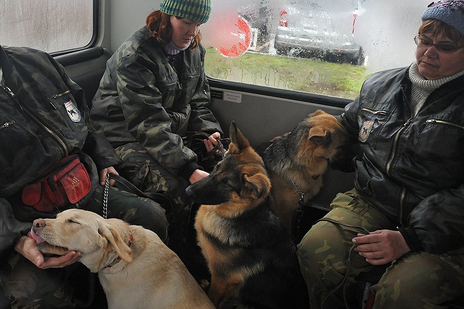 Ежемесячно в школу приезжают нуждающиеся в собаках-поводырях люди