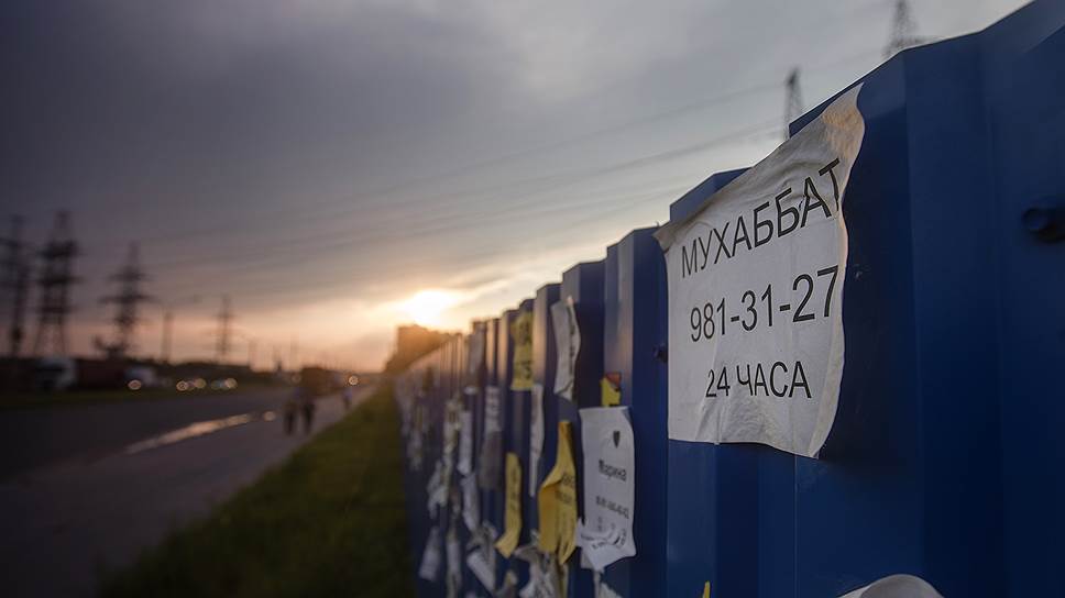 Объявления на заборе обещают любовь за небольшую плату