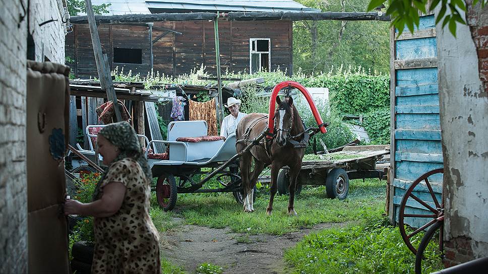 Хотя по местным дорогам лошади до сих пор — удобное средство передвижения, держат их тоже в основном для туристов  