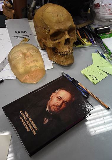 Череп человека не менее уникален, чем его лицо 