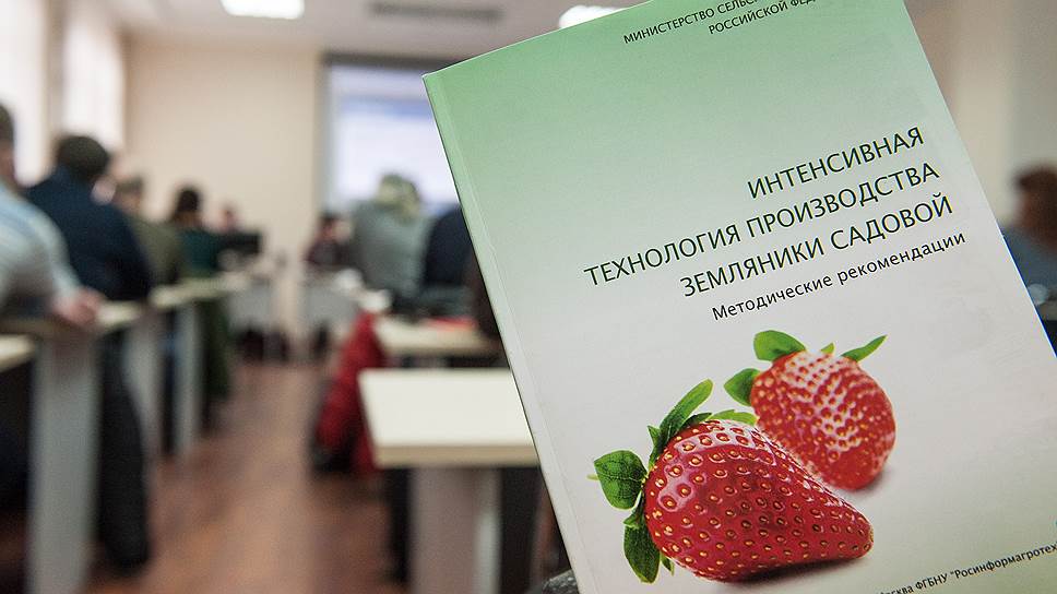 К сожалению, практических знаний здесь дают маловато 