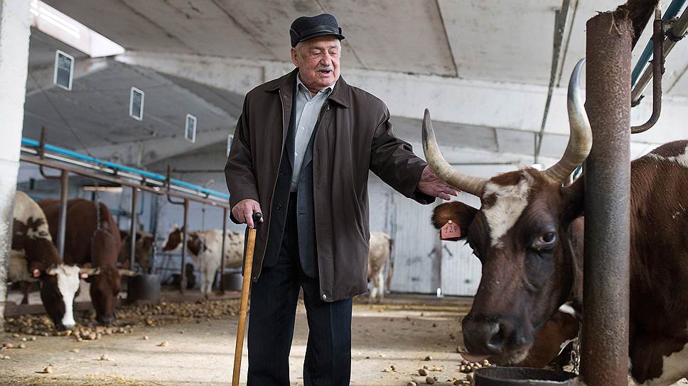 "Еле-еле восстанавливаем животноводство. Не наша вина — политика"