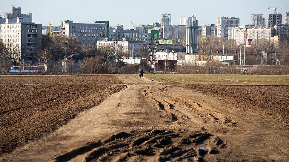 Опытные поля Тимирязевки находятся чуть ли не в центре Москвы. И это — соблазн 