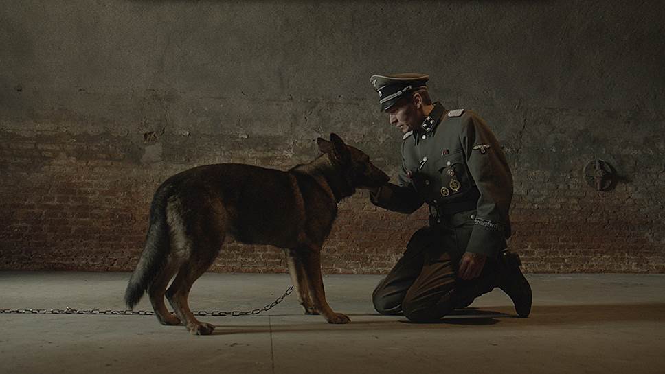 "Брут", режиссер Константин Фам