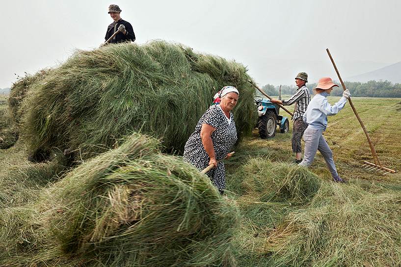 К Кушнаревым в Калиновку приехала из Иркутска внучка Таня. Она хорошо учится в университете и собирается потом жить в городе, но с удовольствием помогает деду и бабушке на сенокосе