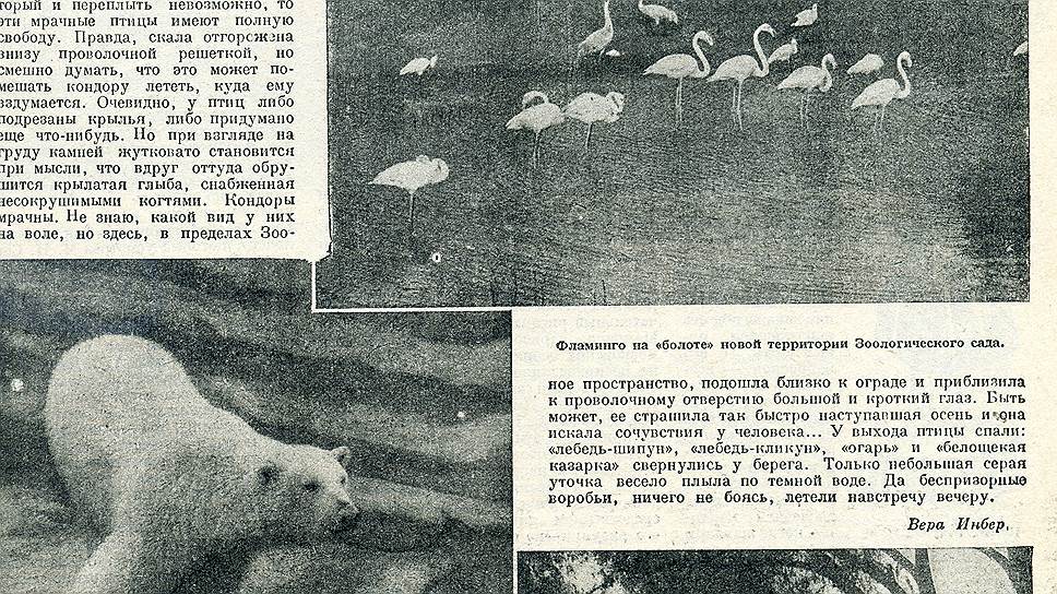 Дата