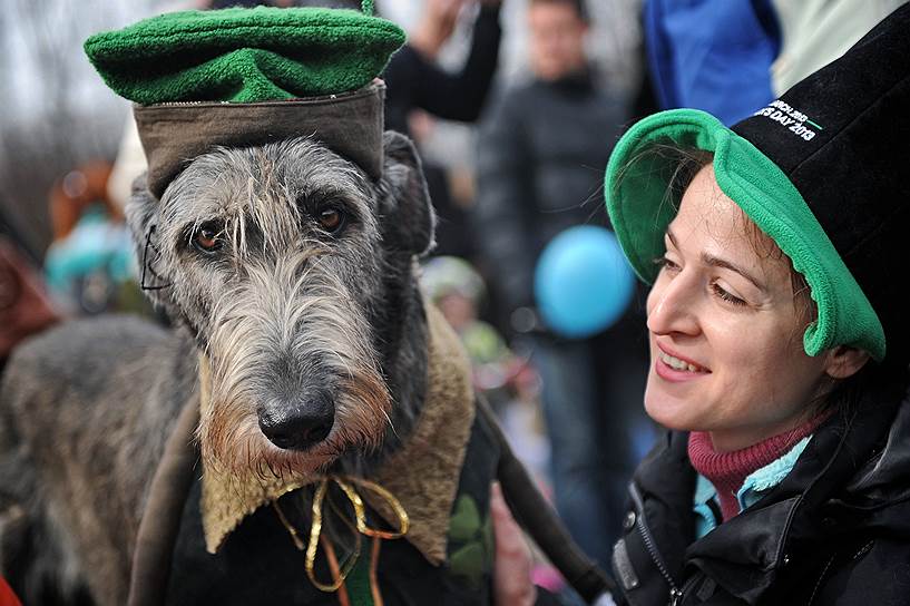 ...И соблюдают его даже четвероногие  