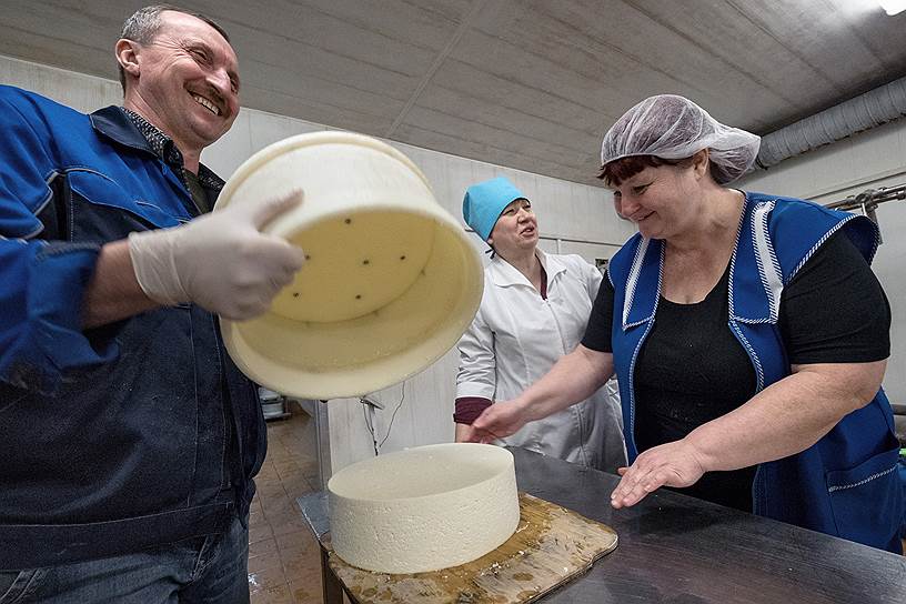 В деревне Степурино получают свыше 4 тысяч литров молока от одной коровы.  Здесь производятся разные сорта сыра, в том числе "Российский" 