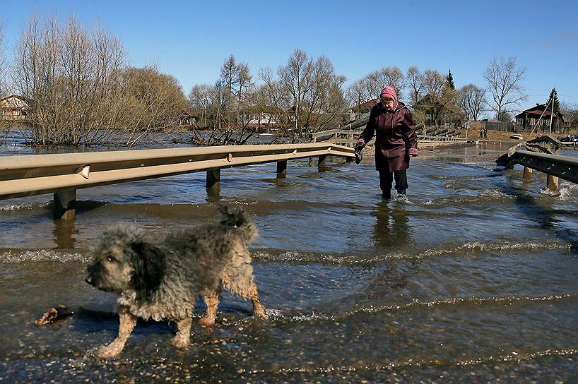 В поселке Холуй Ивановской области затопило мост. Село называют "Холуйской Венецией".