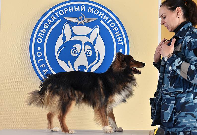 Ольфакция — это наука о запахах 