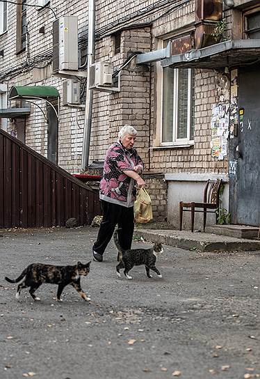 До конфликта вокруг Солженицына головной болью жителей пятиэтажки была любовь этой женщины к кошкам. Кто-то грозил подать на нее в суд, кто-то – расправиться с животными. Но Солженицын оттянул весь гнев на себя 