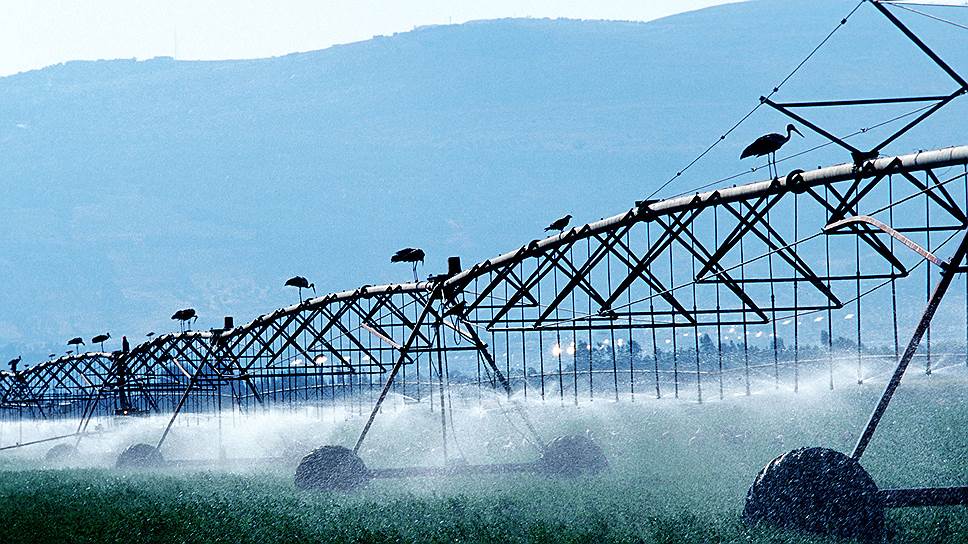 Современные ирригационные системы позволили превратить Голаны в одну из житниц Израиля