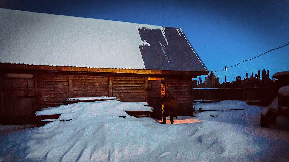 День завершается. На ночь надо укрыть своих поросят сеном — ночи еще холодные