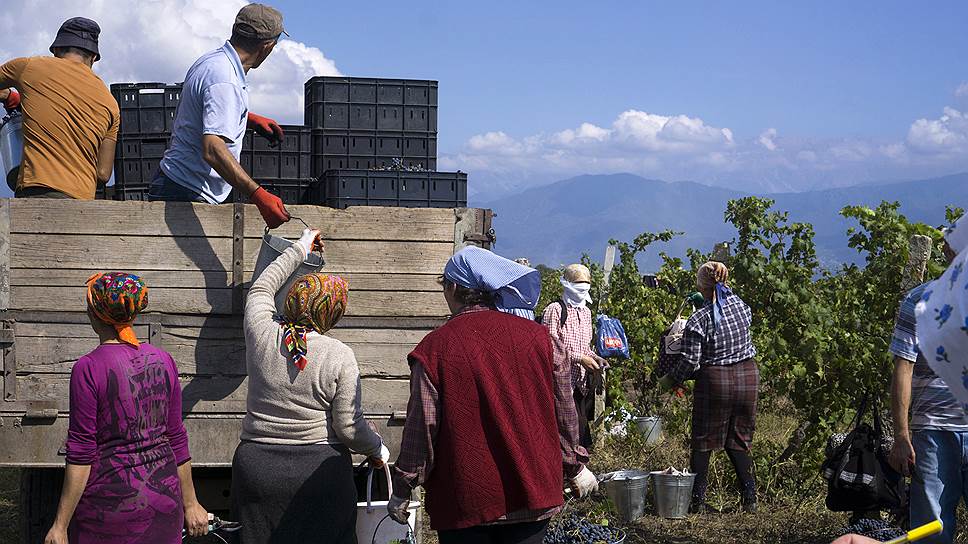 В колхозе села Ивановка бок о бок работают молокане, православные и мусульмане. Платят немного и нерегулярно, но часть урожая разрешают оставить себе 