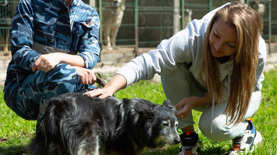 Флер провожают «на пенсию»