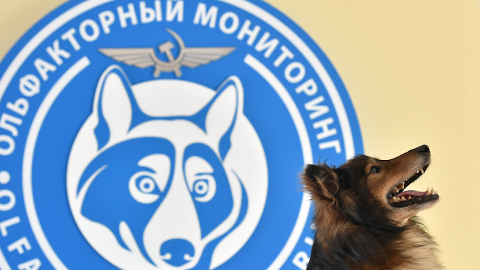 Нюх высоких достижений