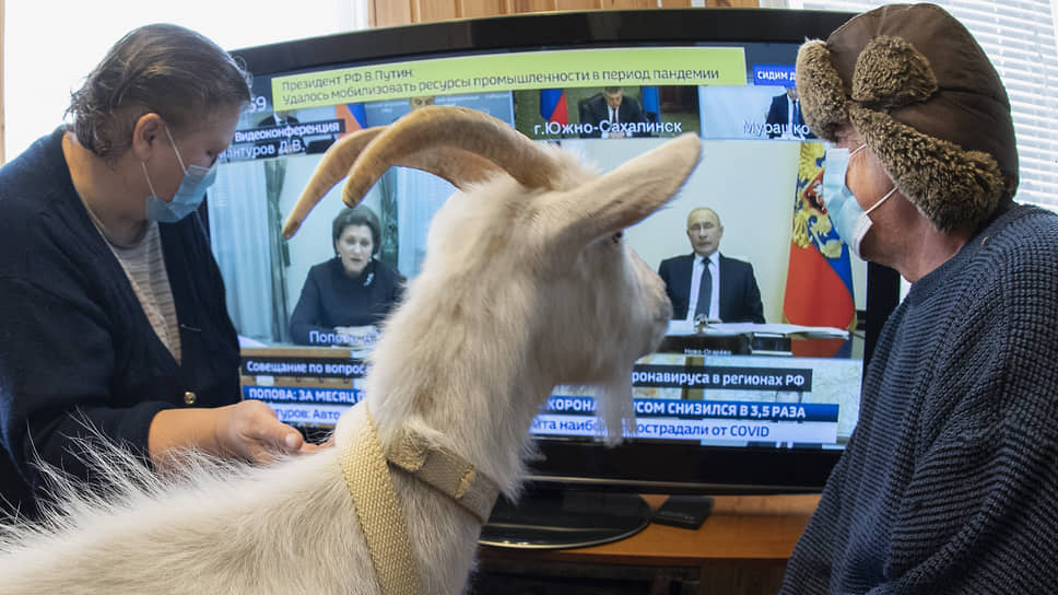 Как регионы России переживают пандемию