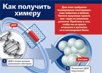 Как получить химеру