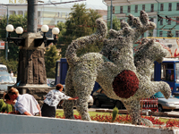 Цветочный крылатый барс