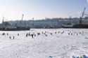Рыболовы