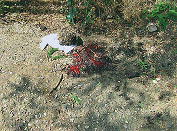 Никто из пришедших на кладбище, чтобы похоронить семью Терехиных, не мог предположить, что и здесь прольется кровь