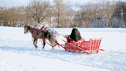 «Москва» (И. НОМУРА)