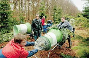 Экспортный товар: евроелка должна быть в евроупаковке