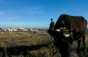 Кольцо моноэтнических татарских поселений опоясывает столицу Крыма