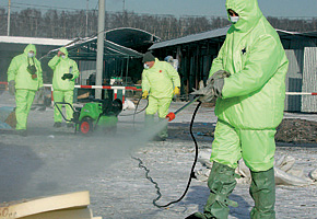 Санобработка на Птичьем рынке Москвы, потенциальном источнике вируса гриппа