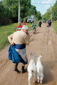 Козочки Яшка и Снежинка не отпускают хозяйку одну за продуктами
