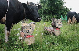 Коровы, одуванчики, коты: людей в Желанном почти нет