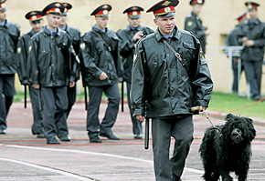 В поисках зрителей