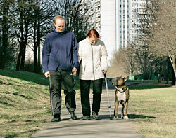 На прогулке покой семьи Елкиных охраняет боксер Богдан