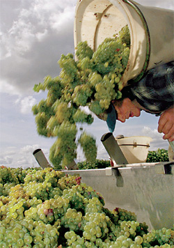 Regis Duvignau/Reuters