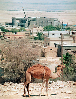 Зная страсть израильтян, палестинцы строили казино на века (на заднем плане)
