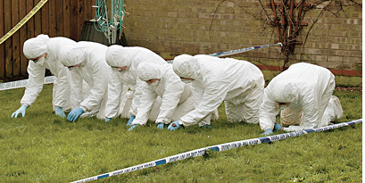 В поисках новых улик полицейские прощупывают метр за метром