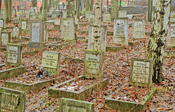 Одинаковые надгробные плиты - это часть переделкинского кладбища, где похоронены старые большевики: члены партии с 20-х годов