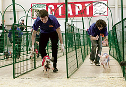 На дистанции бегунов громкими хлопками в ладони подгоняют инструкторы