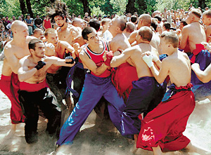 Лучший способ доказать, кому принадлежат острова Змеиный и Тузла, - это устроить на них чемпионат по казацкому рукопашному бою