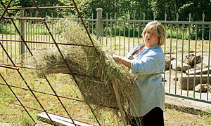 Две тонны сена - и шалаш как новый