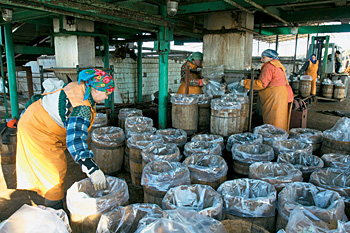 За рыбой морякам приходится уходить далеко в море. Ловить у берега экологи не советуют