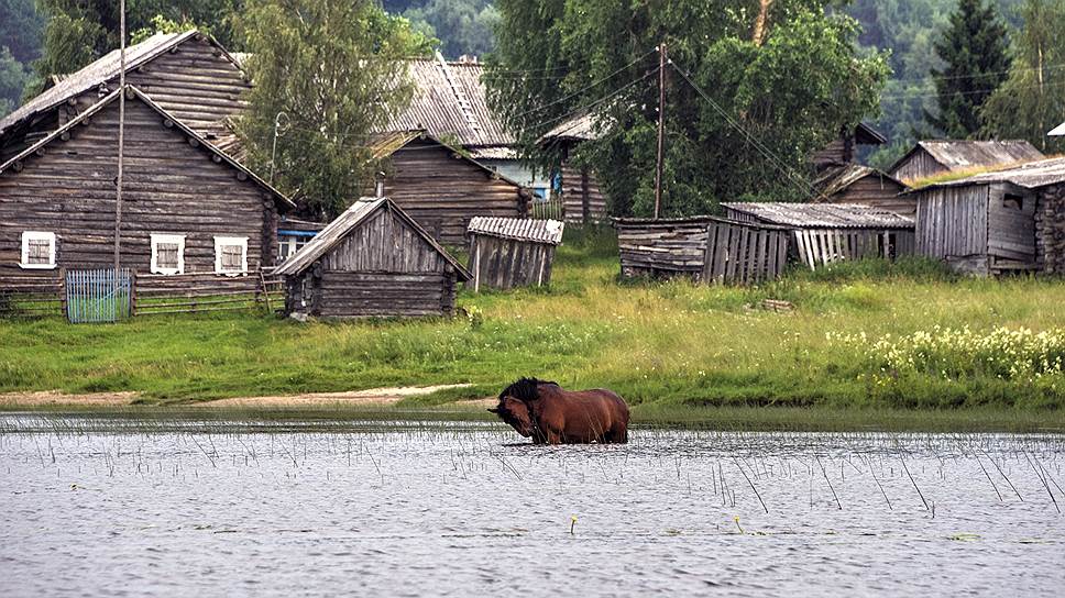 «Главной темой десятого "Архстояния" станет русская деревня» 