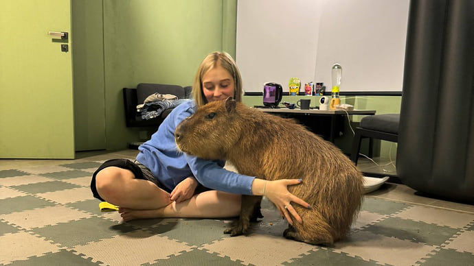 Капибара составит компанию