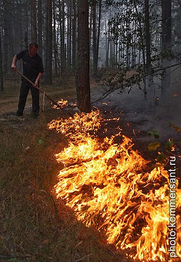 Летом на Урале бушевали лесные пожары. Больше всего пострадали природные заповедники, а также сгорел поселок Вижай