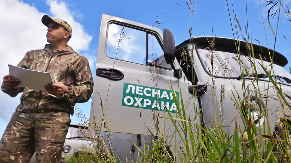 В Тюменской области потушили лесные пожары на площади в 206 га и провели работы по лесовосстановлению и лесоразведению на 7,87 тыс. га