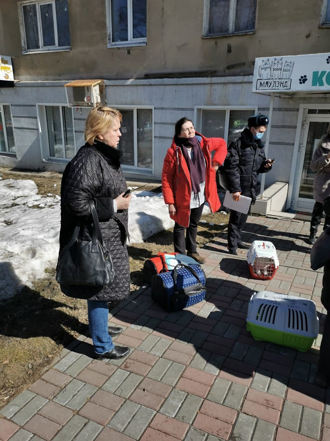 Напомним, что котокафе накопило долги в 130 тыс. руб. за период коронавирусных ограничений и было закрыто в начале марта 2021 года.  