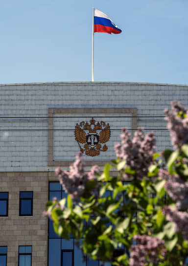 В Казани цветет яблоня